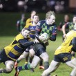 sport+rugby clogher 1